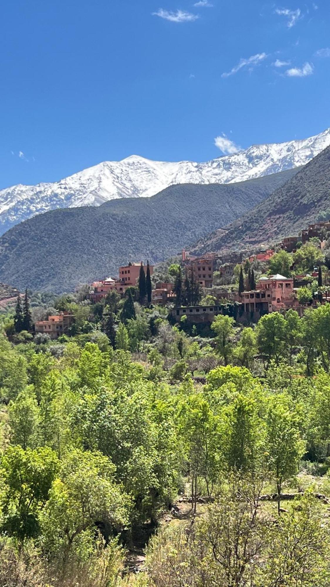 Tazart Lodge Марракеш Экстерьер фото